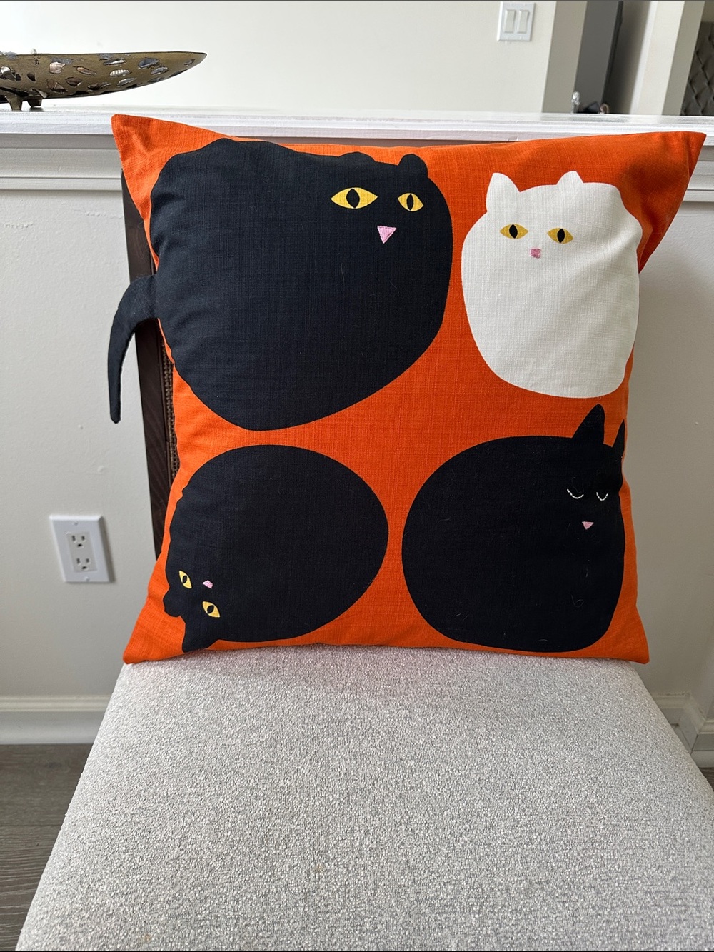 Cat Pillow  Down  20x20